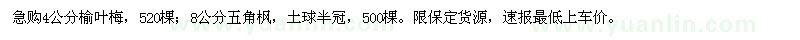 求購(gòu)急4公分榆葉梅,8公分五角楓