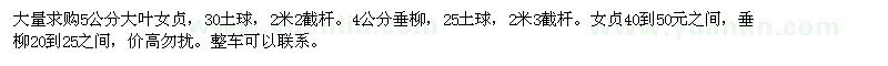 求購大葉女貞，垂柳
