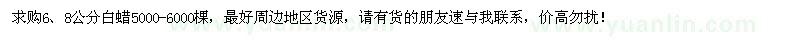 求購6、8公分白蠟5000-6000棵