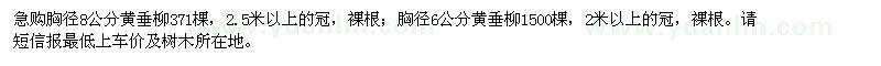 求購胸徑8公分,胸徑6公分黃垂柳