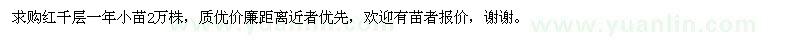 求購(gòu)紅千層一年小苗