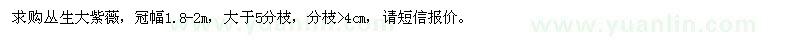 求購叢生大紫薇
