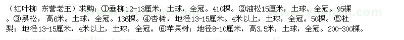 求購工程用垂柳油松黑松杜梨杏樹蘋果樹等