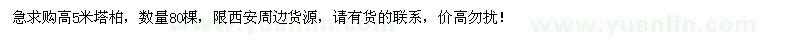 求購高5米塔柏80棵