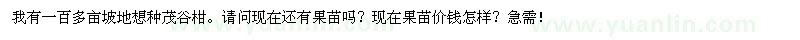 求購茂谷柑苗