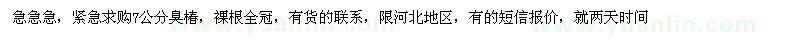 求購7公分臭椿