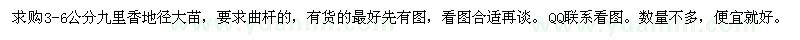 求購3-6公分九里香地徑大苗