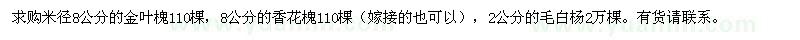 求購金葉槐,香花槐,毛白楊