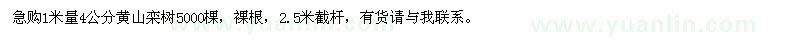 求購4公分黃山欒樹