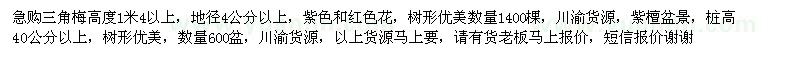 求購(gòu)三角梅高度1米4以上