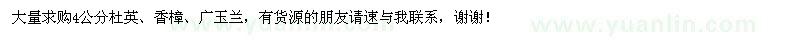求購(gòu)4公分杜英、香樟、廣玉蘭