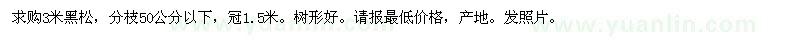 求購3米黑松