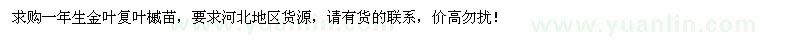 求購一年生金葉復(fù)葉槭苗