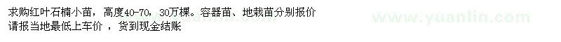 求購30萬紅葉石楠小苗