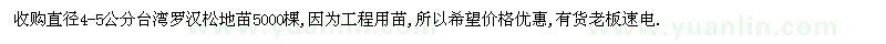 求購直徑4-5公分臺灣羅漢松地苗5000棵