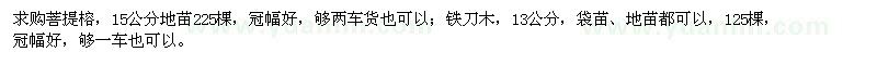 求購菩提榕,鐵刀木