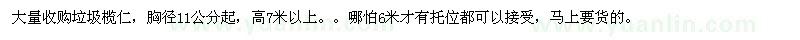 求購垃圾欖仁