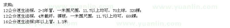 求購法桐工程苗