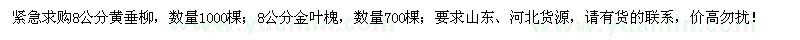 求購(gòu)8公分黃垂柳、金葉槐