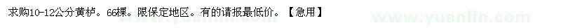 求購10-12公分黃櫨