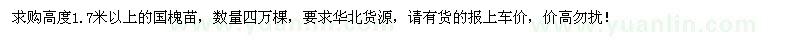 求購(gòu)高1.7米以上國(guó)槐苗4萬(wàn)棵