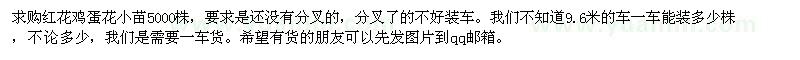 求購紅花雞蛋花小苗