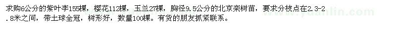 求購紫葉李,櫻花,玉蘭,北京欒樹