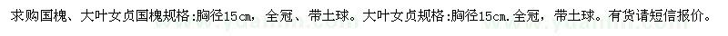求購(gòu)國(guó)槐、大葉女貞