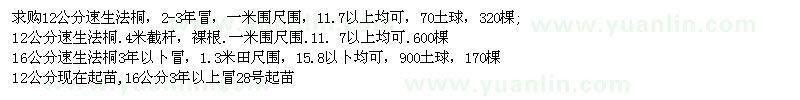求購12公分速生法桐