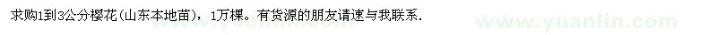 求購1到3公分櫻花