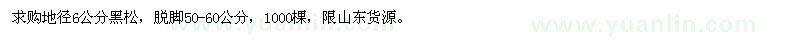 求購地徑6公分黑松