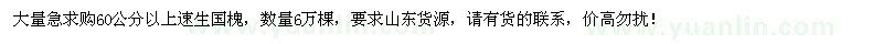 求購高60公分速生國槐6萬棵