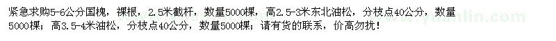 求購國槐、東北油松、油松