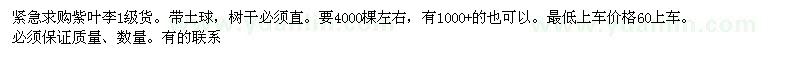 求購急購紫葉李