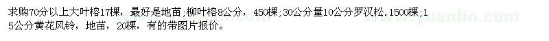 求購70分以上大葉榕17棵