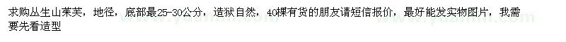 求購(gòu)叢生山茱芙