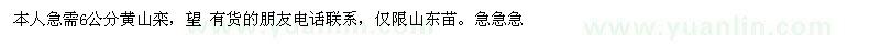 求購6公分黃山欒