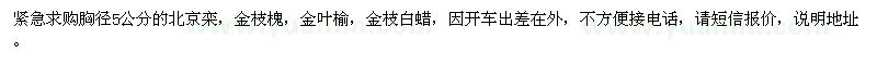 求購胸徑5公分的北京欒，金枝槐，金葉榆，金枝白蠟