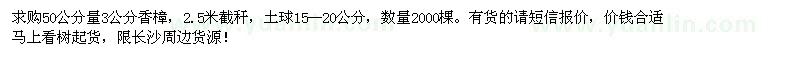 求購50公分量3公分香樟