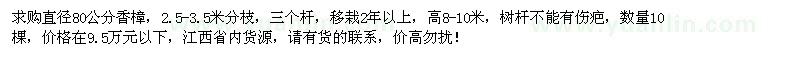 求購直徑80公分香樟10棵