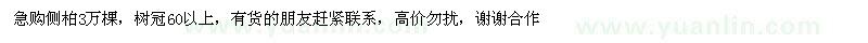 求購側(cè)柏3萬棵