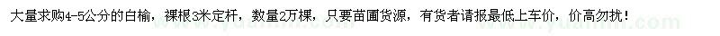 求購4-5公分白榆2萬棵