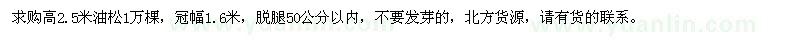 求購高2.5米油松