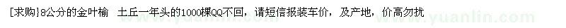 求購(gòu)8公分的金葉榆 土丘一年頭的1000棵
