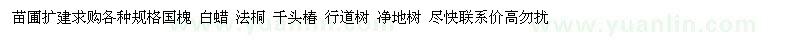 求購(gòu)各種規(guī)格國(guó)槐 白蠟 法桐