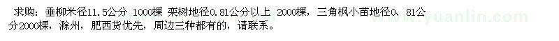 求購垂柳、欒樹、三角楓小苗