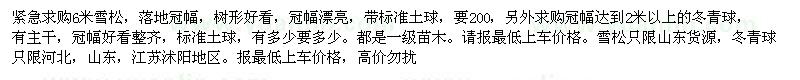 求購(gòu)6米雪松。2米以上的冬青球，有主干沒(méi)分支