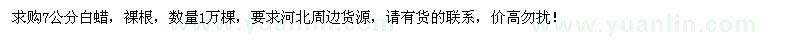 求購(gòu)7公分白蠟1萬(wàn)棵