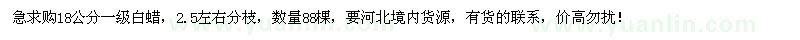 求購(gòu)18公分一級(jí)白蠟88棵