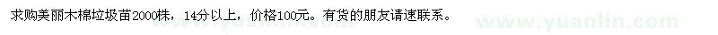 求購美麗木棉2000株